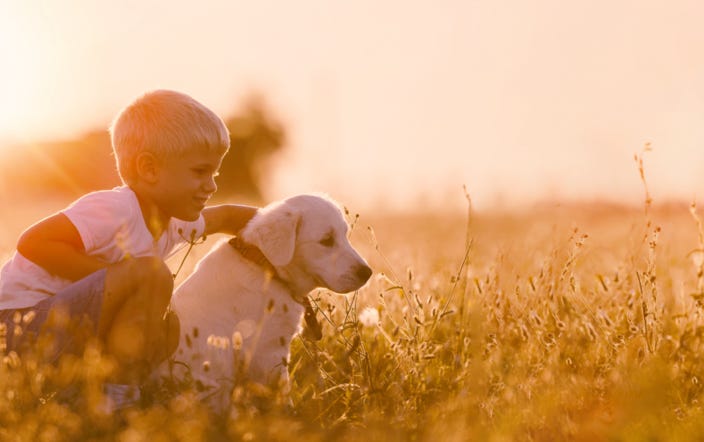 chiot-enfant-vitrolles