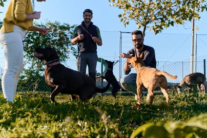 formation-educateur-canin-vitrolles