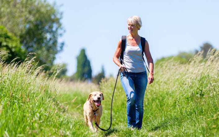 marche-en-laisse-chien-rognac